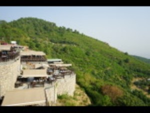 Tours and Travel Four